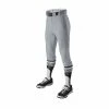Evoshield Salute Men’s Knicker Baseball Pants – Grey -Bats Elegant Shop products wb6000502 1