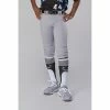 Evoshield Salute Youth Knicker Baseball Pants – Grey -Bats Elegant Shop products wb6000602 1 1