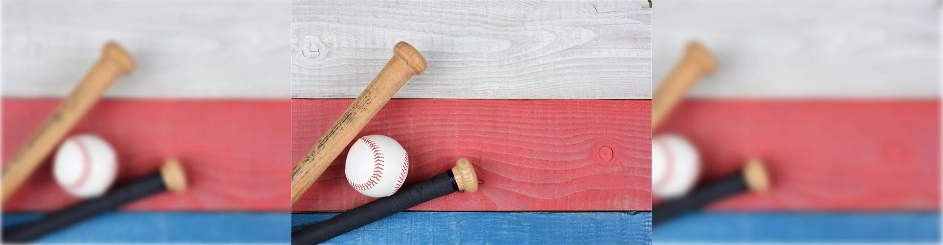 Bats Elegant Shop -Bats Elegant Shop 6